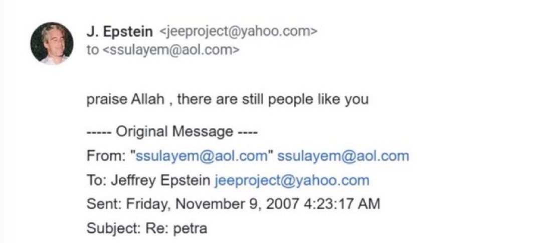 Andrea Orsi🐝 Bee Queen 🇺🇸🇮🇱🇧🇷 tweet media