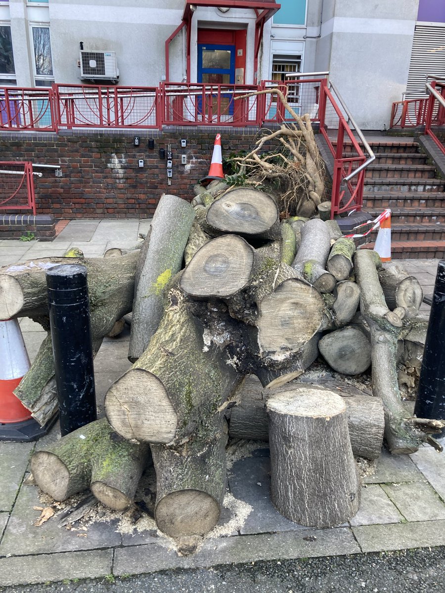mzach8's tweet photo. The tree is still here 4 months later still blocking the path @lambeth_council #shambeth https://t.co/5D3xyy2HwW