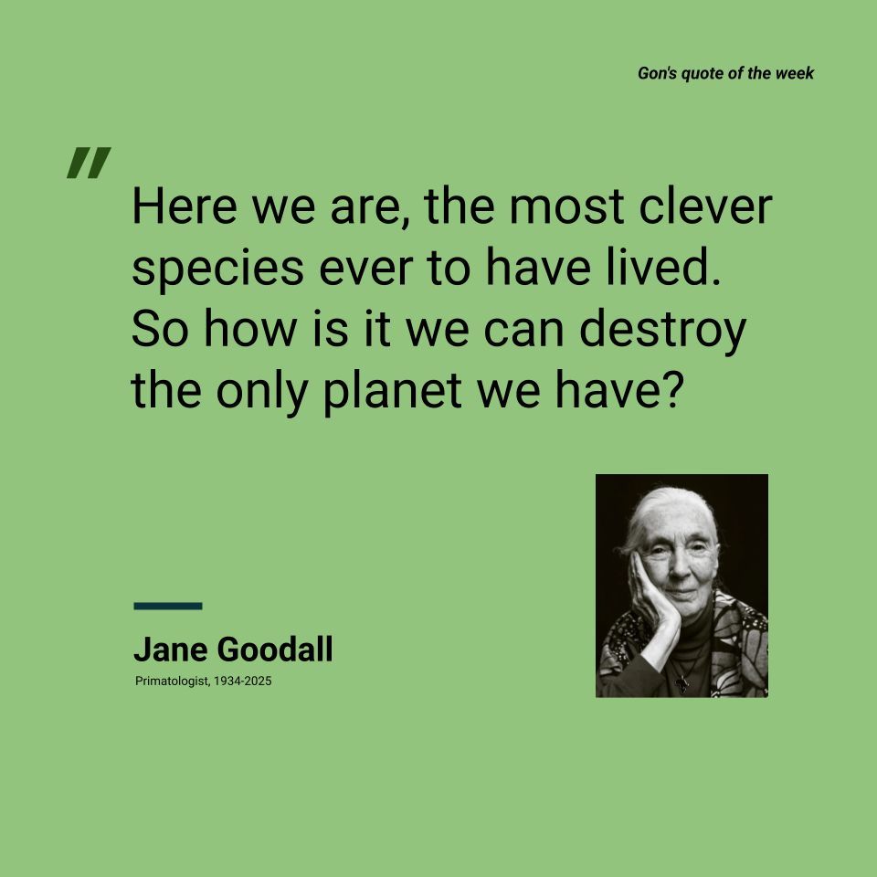 Cesar Gon tweet media