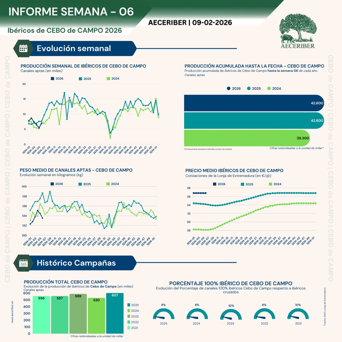 AECERIBER tweet media