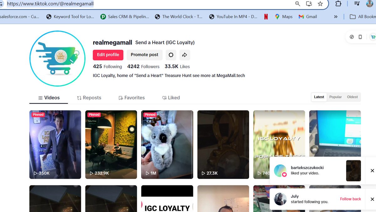 1.5 Million views in a week, why? well we have the first mass retail blockchain product for retail  $IGC 

tiktok.com/@RealMegaMall 

#IGCPoland, #BigDeals, #GlobalBuild, #NextGenLoyalty