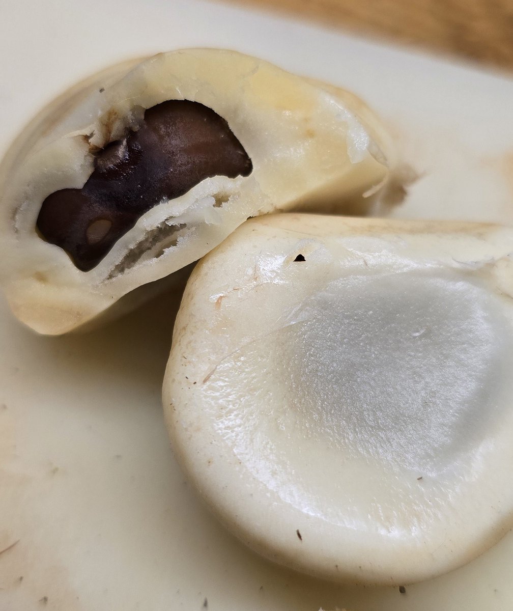 E_L_A_77's tweet photo. Mangosteen &amp; Salak vom Naschmarkt.
Mangosteen is süß, weich und wie Litschi.
Salak ist vom Fruchtfleisch etwas knackiger, hat grosse Kerne und schmeckt wie Birne, Apfel, und a bissi orangig.
zum öffnen war Salak eindeutig leichter 😜
#kostprobe
#neuesprobieren
#weltderfrüchte https://t.co/WPZmDuPjLR