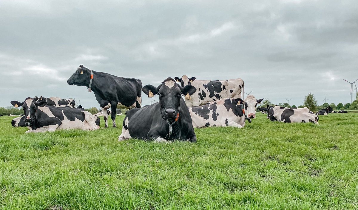 Freie Bauern tweet media