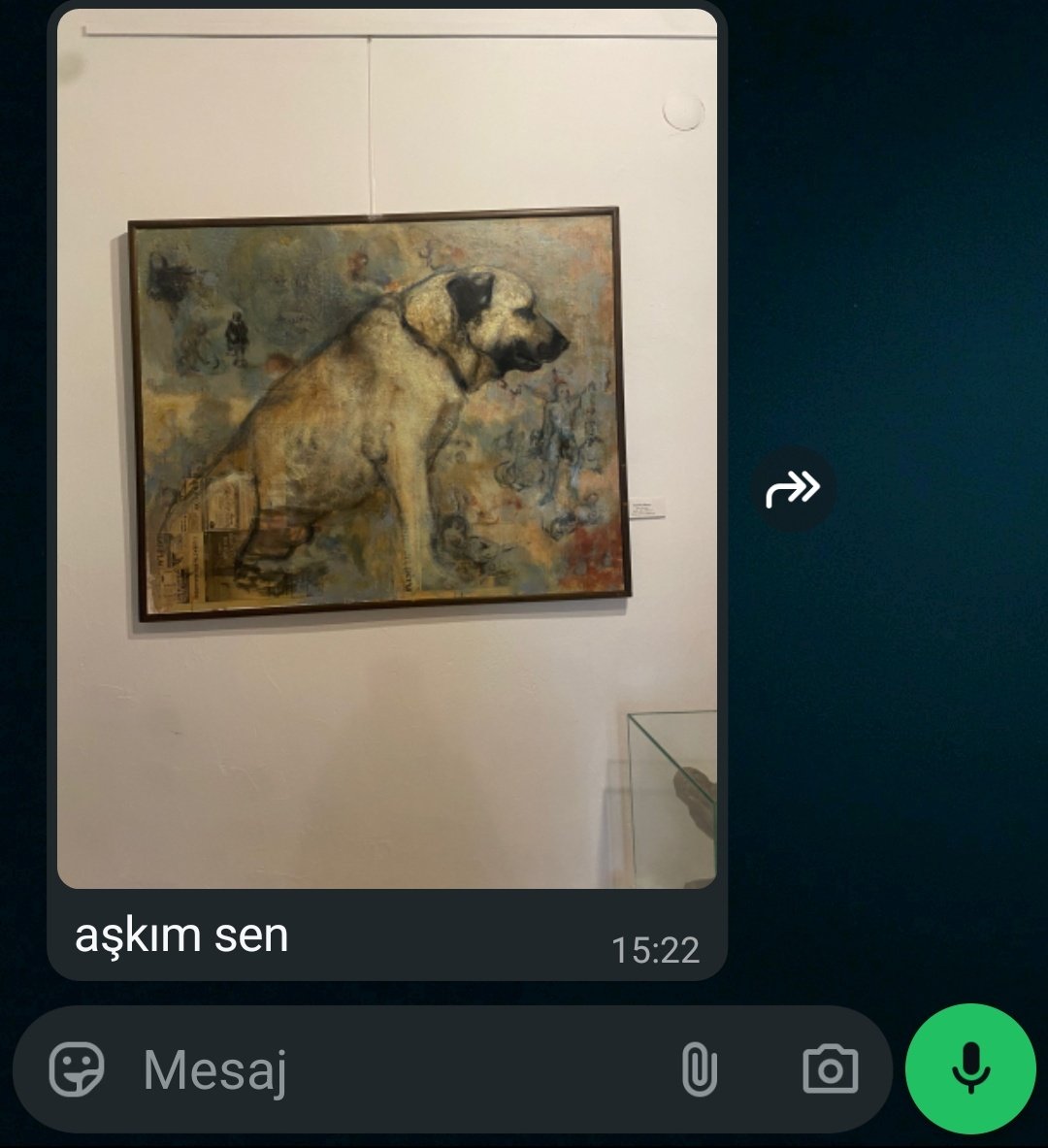 sırf sivaslıyım diye ha