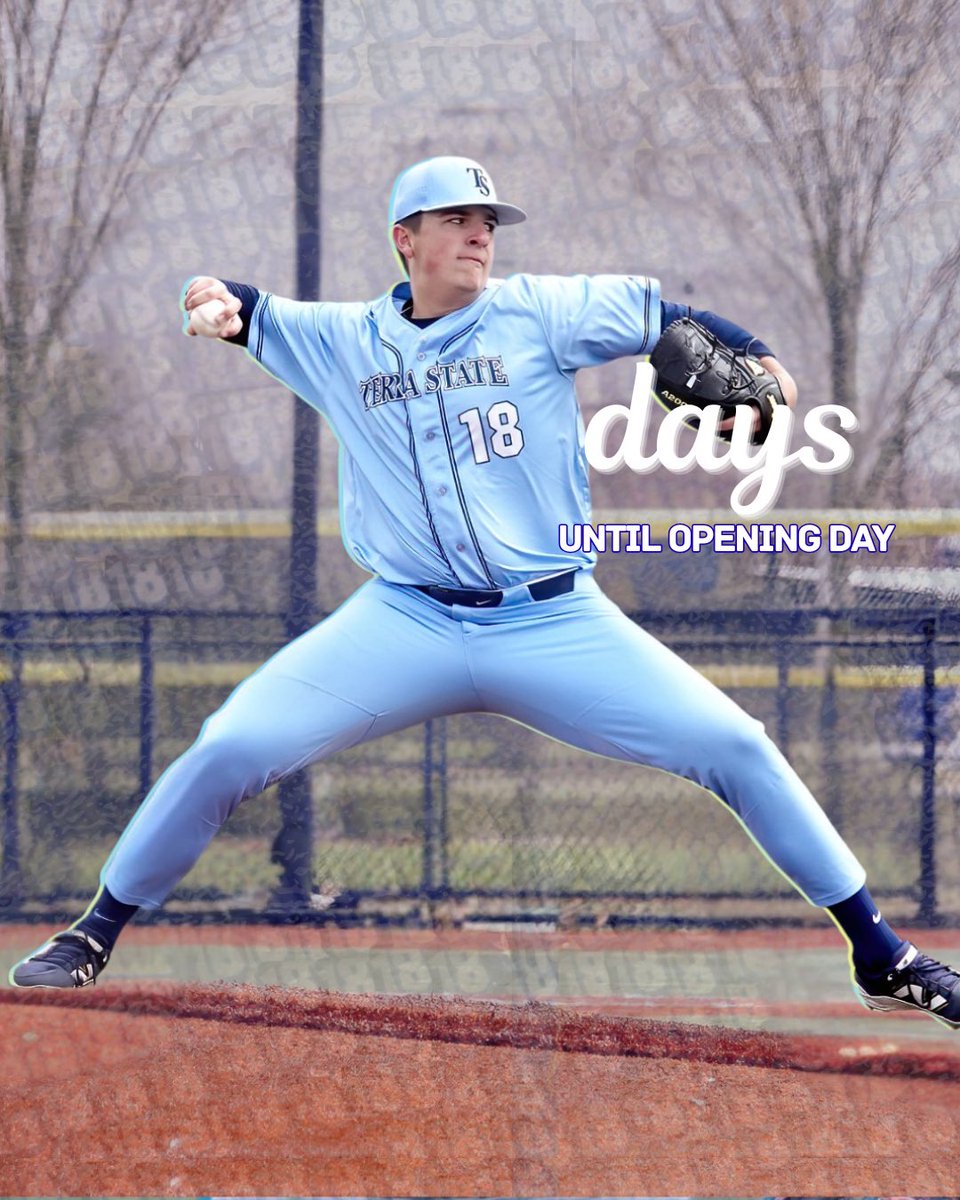 Terra State Baseball tweet media