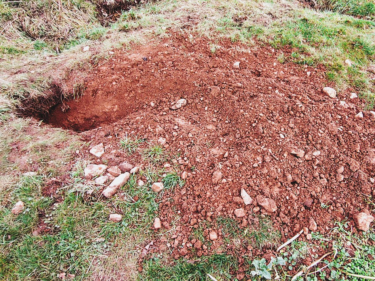 Mark Garrett tweet media