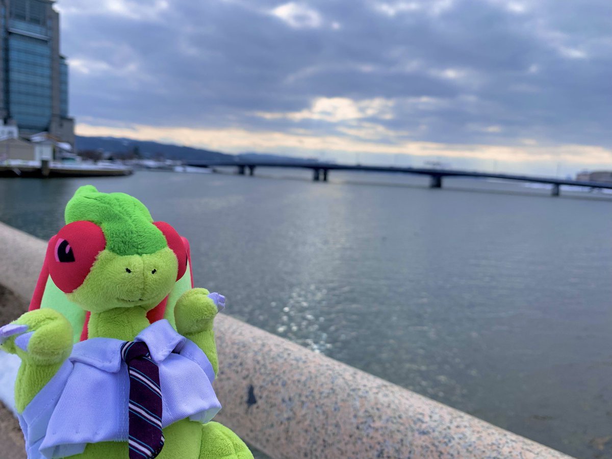 はたらくフライゴン tweet media