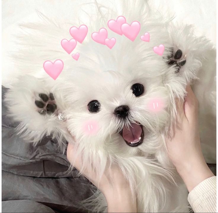 金旼炡. 📌 tweet media