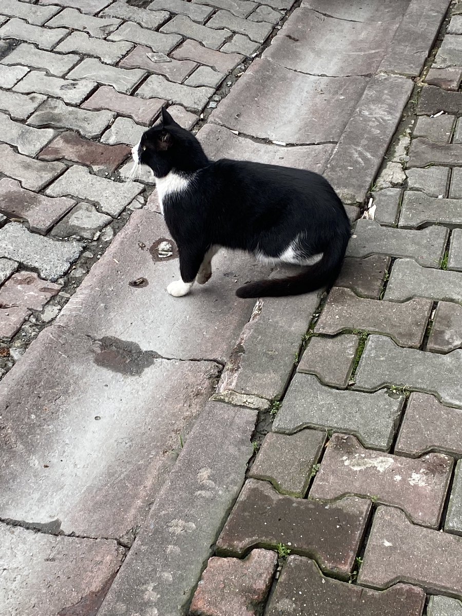 Kimse normal değil hdhdhd