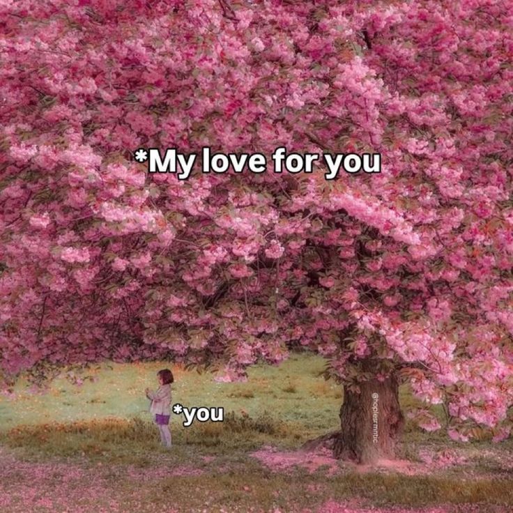 金旼炡. 📌 tweet media