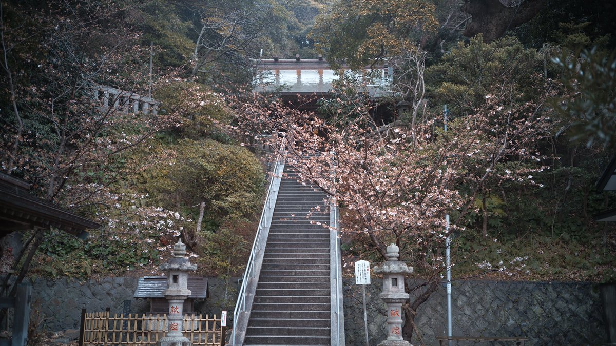 ___concealed's tweet photo. 鎌倉
#sigmafp 
#heliar40mmf28 https://t.co/g3HBEyV4AM