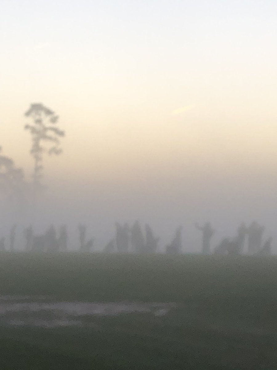 RSU Golf tweet media