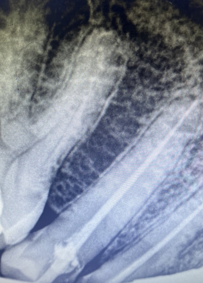 ابو فهد tweet media