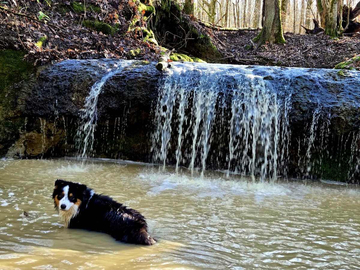 Beth Haslam tweet media