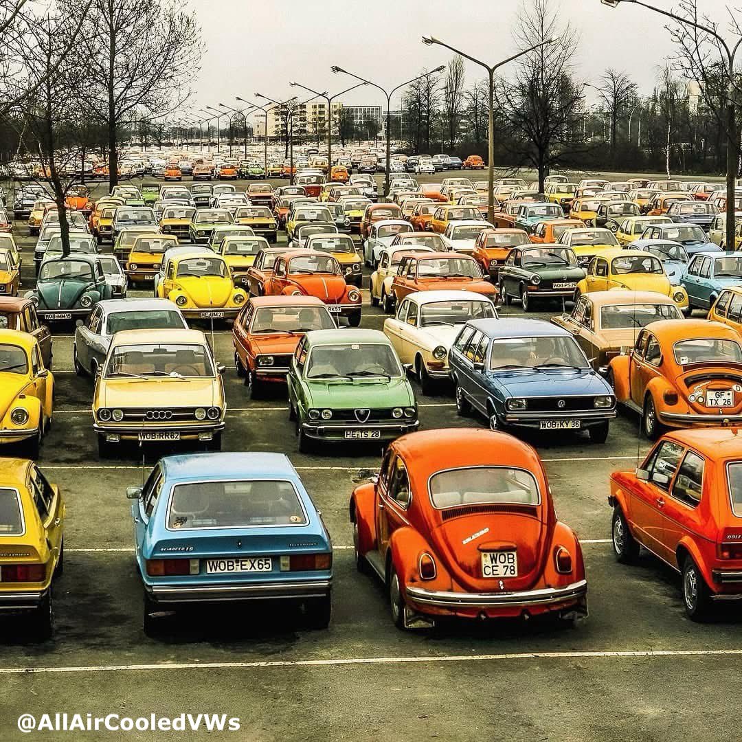allaircooledvws's tweet image. How many Beetles do you see? 🤔 #VWBug