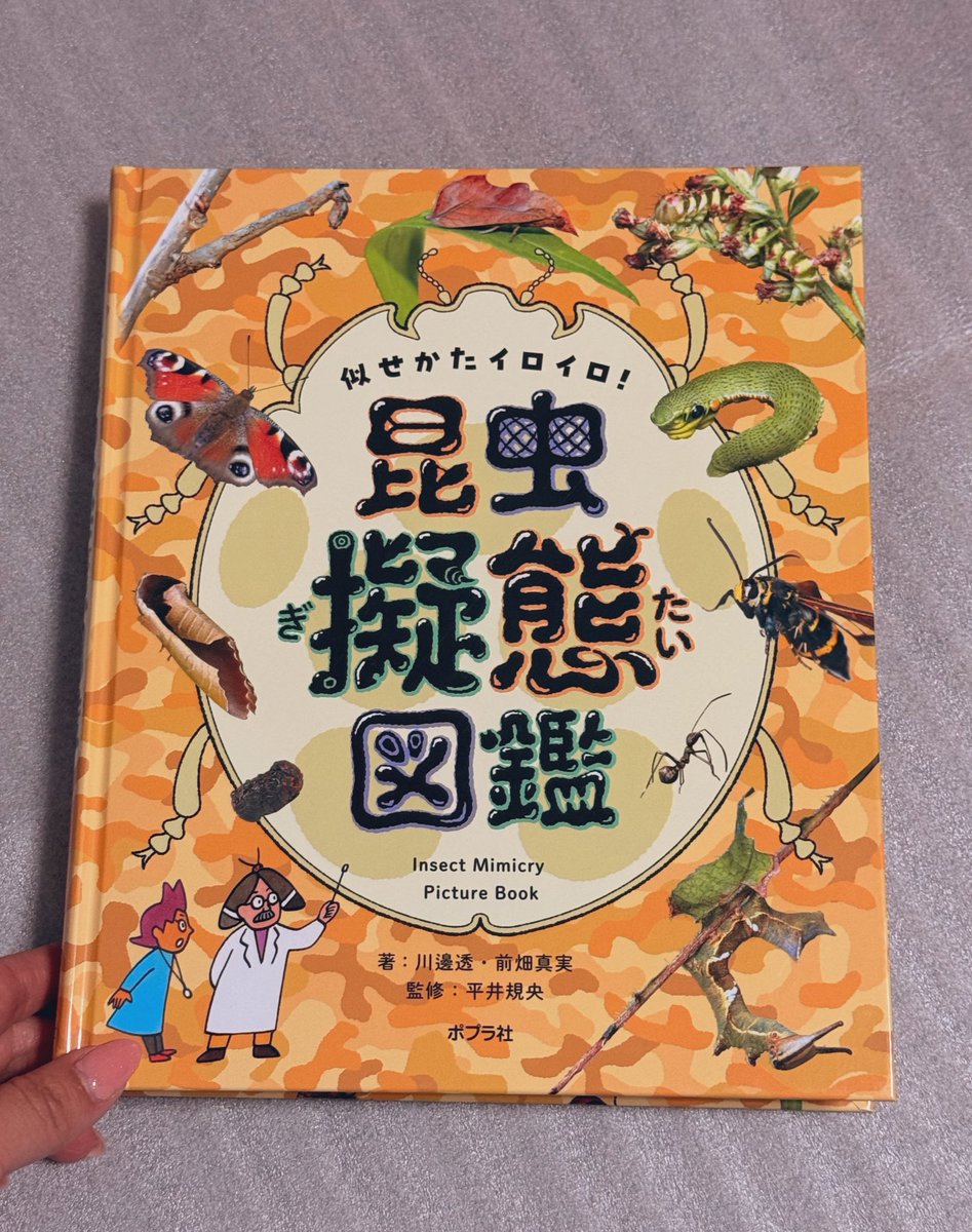 まみのすけ🐛 (@montachun) / Posts / X