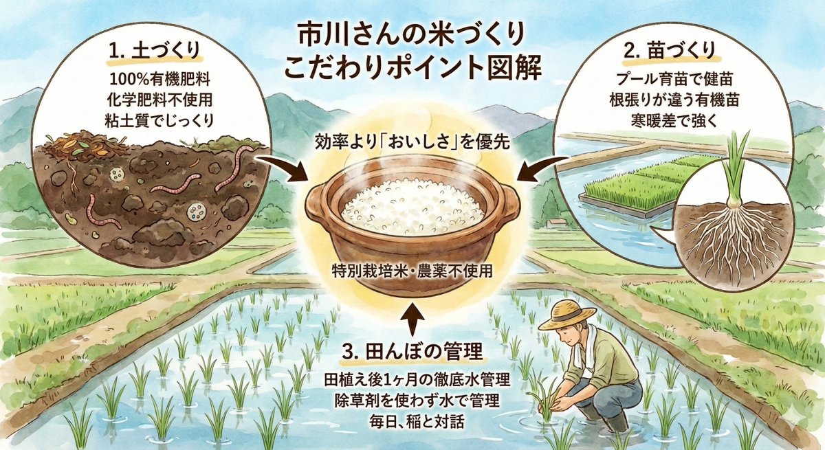 808yukiya's tweet photo. 毎日食べるお米だからこそ、背景を知って選びたい🌾

長野県佐久市の「市川さんの米づくり」 農薬を使わず、土づくりから苗づくりまで市川さん自身が毎日観察して育てた特別栽培米。

「子どもに安心して食べさせたい」という想いが詰まった、甘みたっぷりのこしひかりです✨

詳細はこちら👇
市川さんの米づくり│効率より「おいしさ」を優先する長野県佐久市の特別栽培米
 https://t.co/4AE9HojqIB