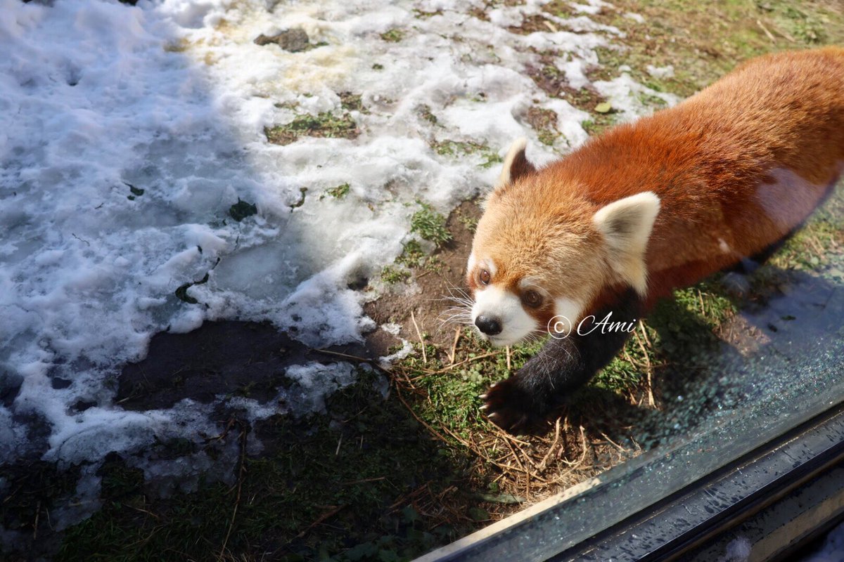 あみ (@amiami594) / Posts / X