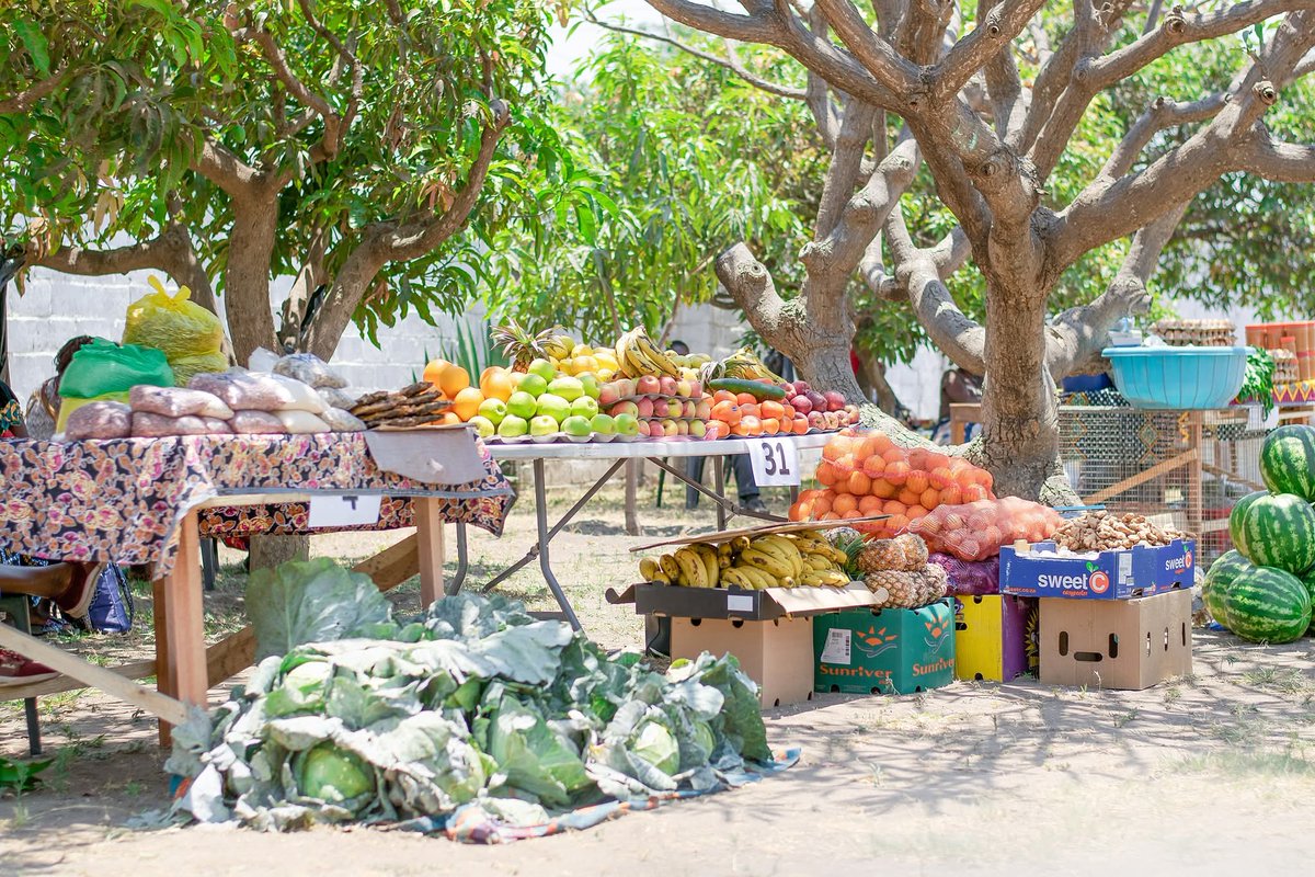 🚜 Monday Agri Brain Teaser:
What has roots but never grows - yet feeds millions when it works well?

👇 Your guesses?