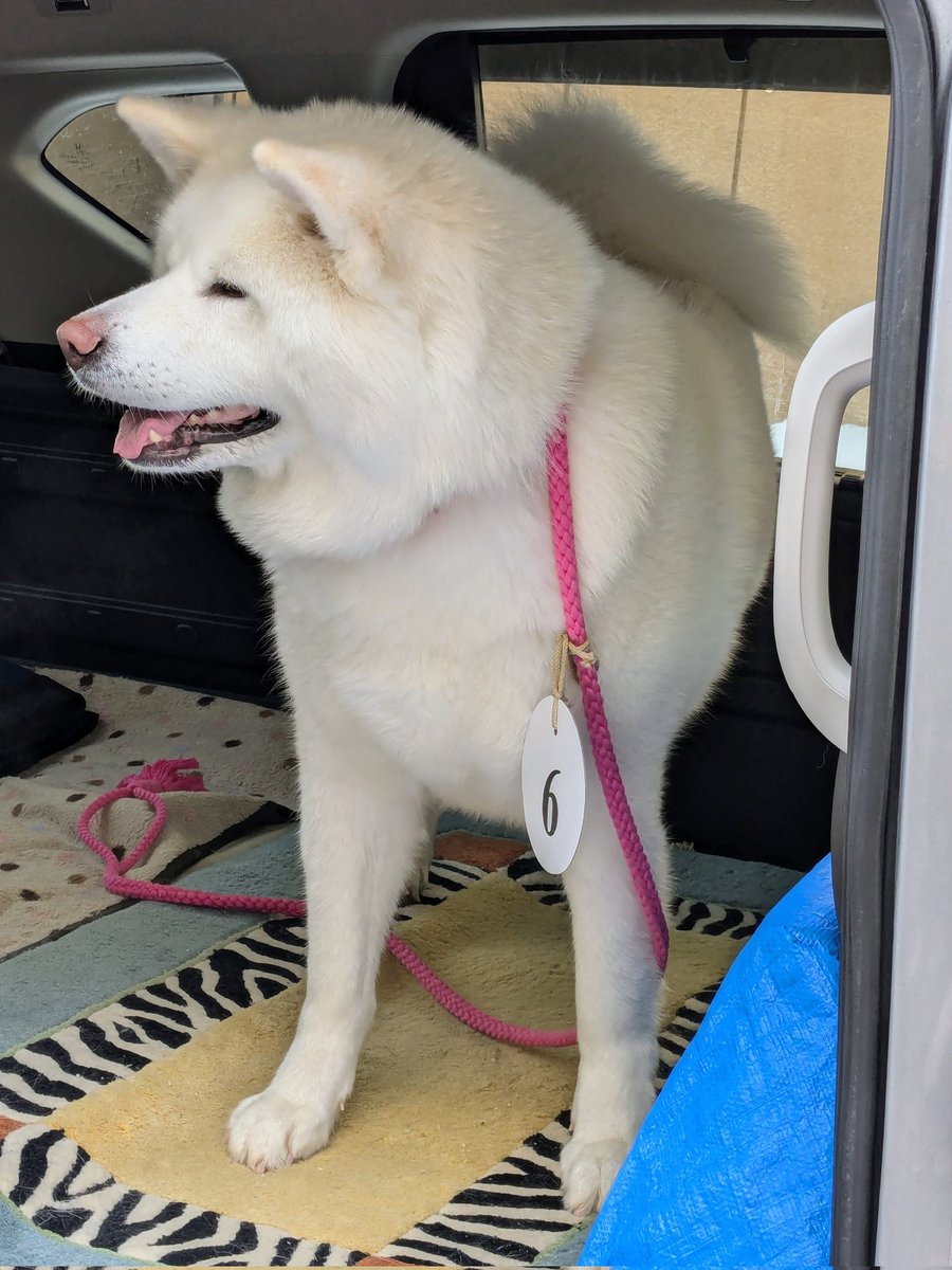 ْ (@65907_30_4) / Posts / X