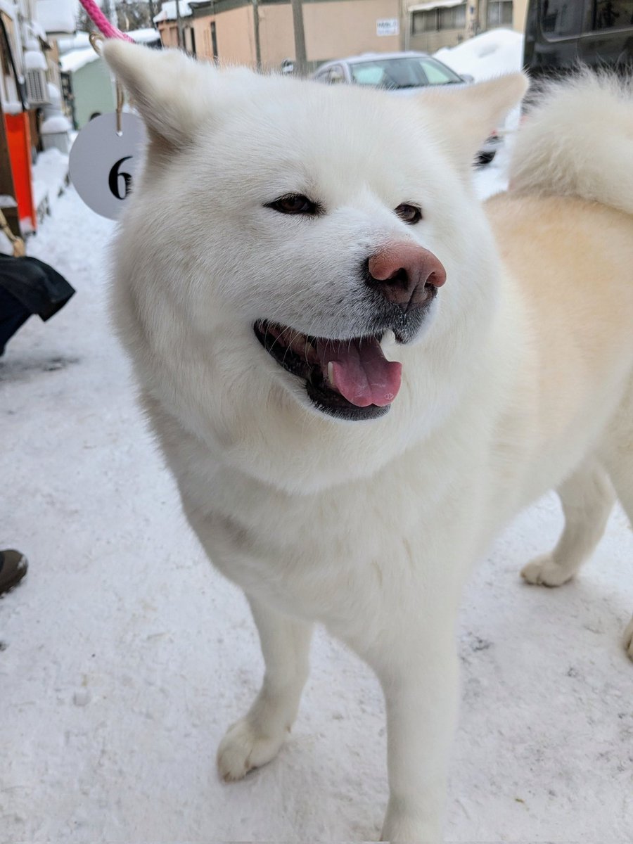 ْ (@65907_30_4) / Posts / X