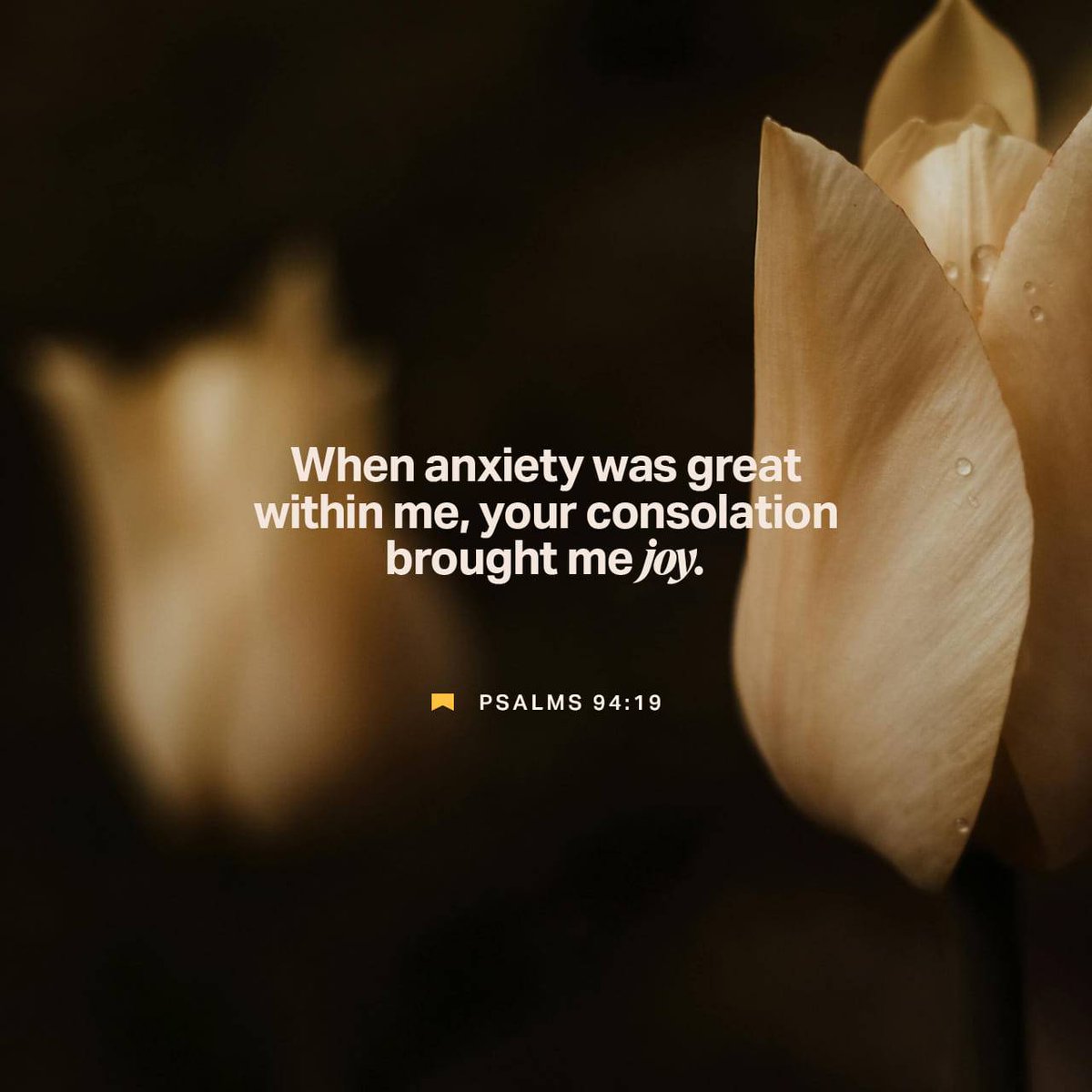 ToddTrotter3's tweet photo. Psalm 94:19
In the multitude of my thoughts within me Thy comforts delight my soul. https://t.co/Q4WT51N7jn