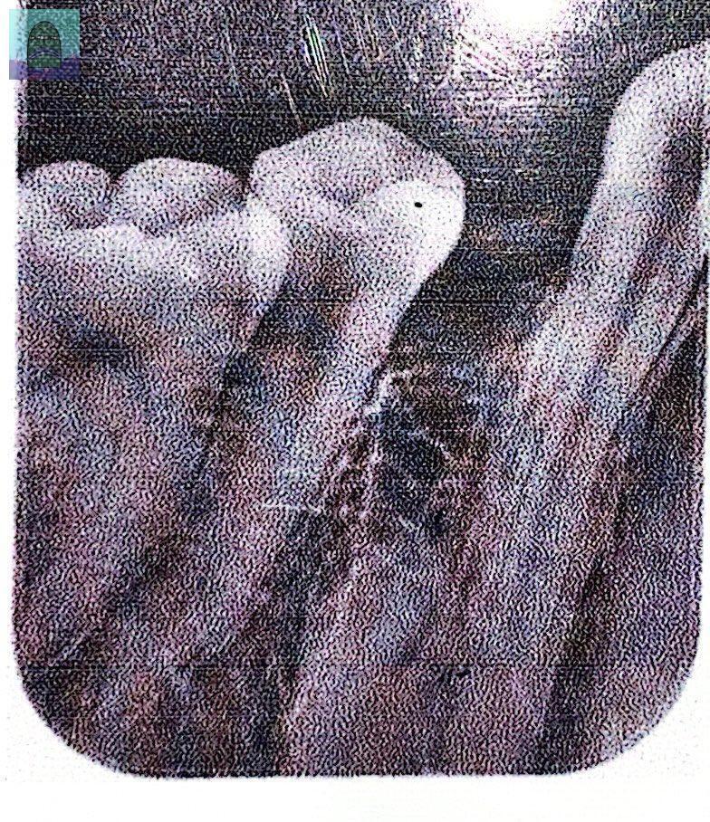 Tanyarl 💚 tweet media