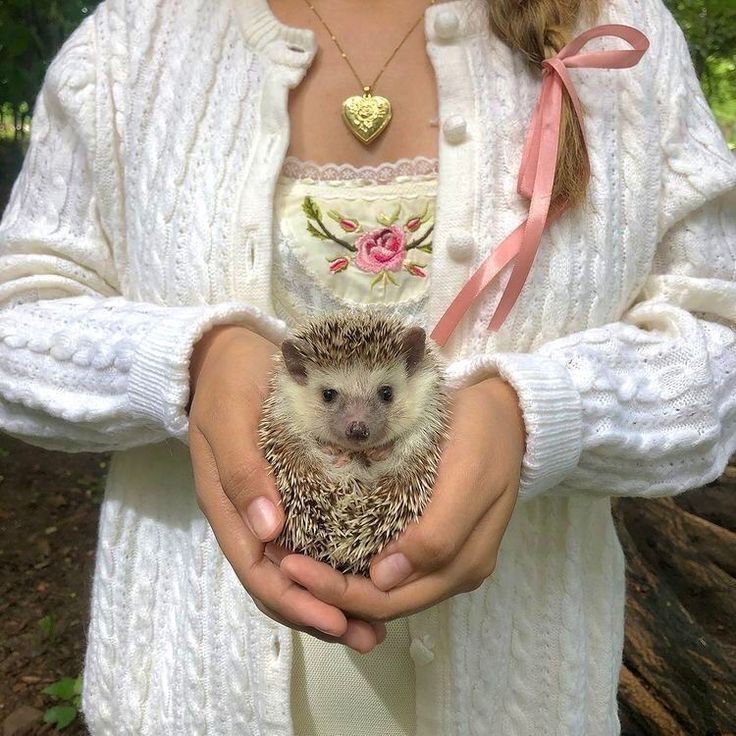 𝑠ℎ𝑒 𝑤𝑎𝑠 𝑎 𝑓𝑎𝑖𝑟𝑦 tweet media