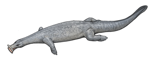 Bull.Falcon (@FalconBull) / Posts / X