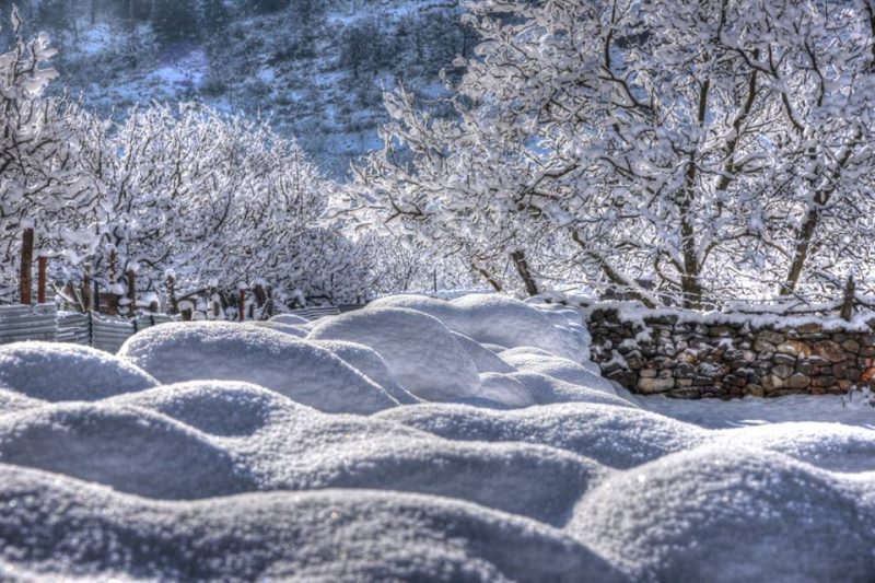 IndiaAesthetica's tweet photo. Harsil Valley in Winters , Uttarakhand 🍎❄️🌨️🇮🇳 https://t.co/imrvncfGlP