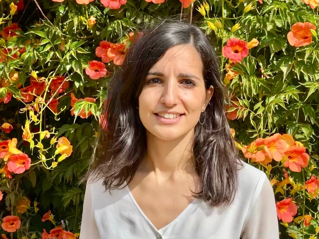 GRESIB - CDSIB tweet media