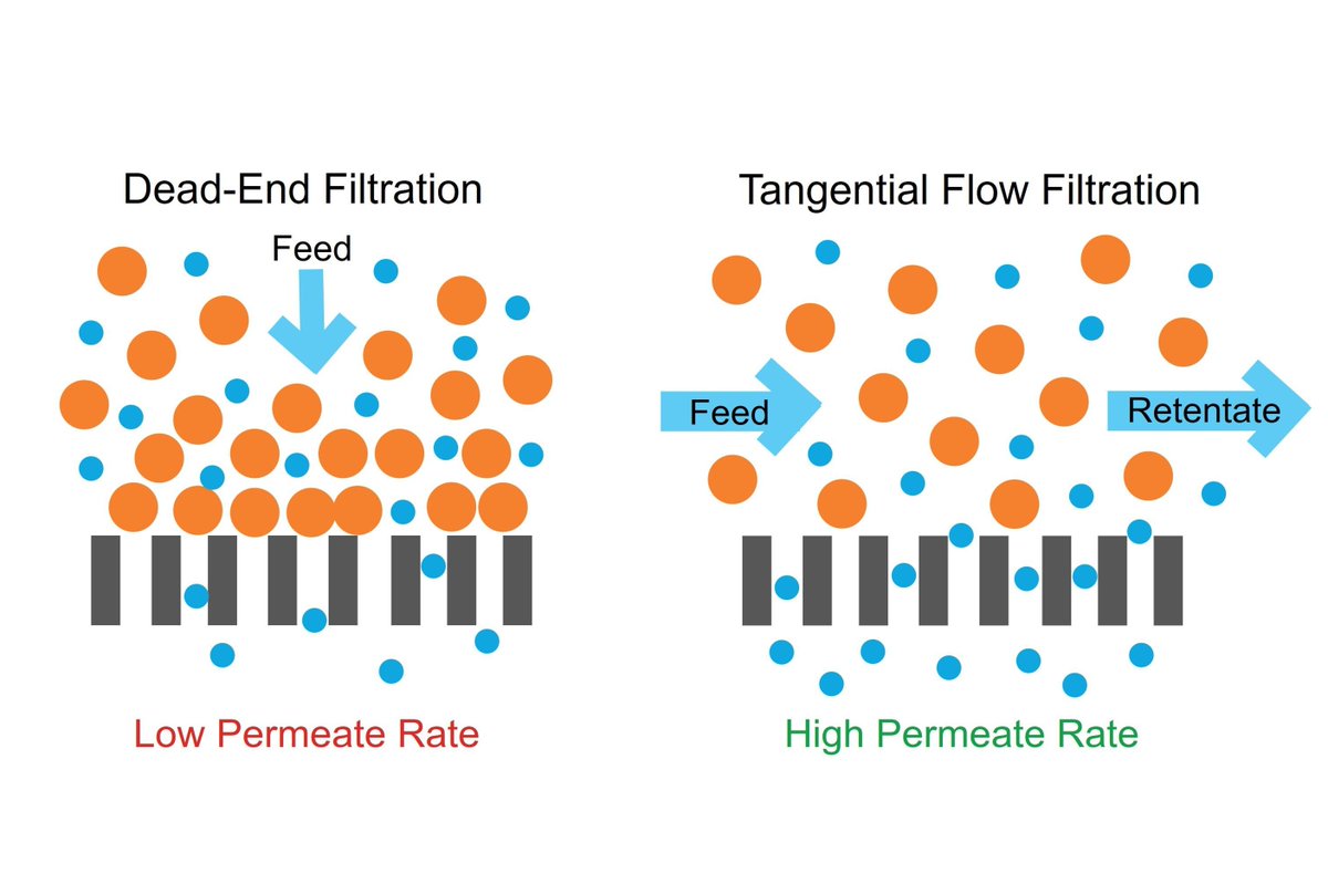 Cell Guidance Systems tweet media