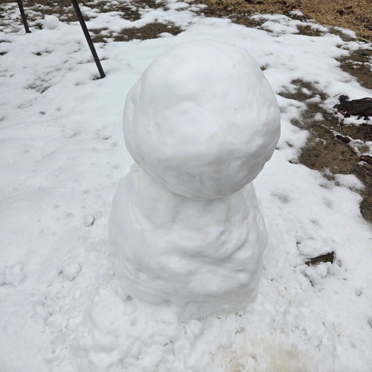 MD37714535's tweet photo. この冬最大の積雪。
1～2年前はなかった、10センチ超えの雪でした。

不格好ながら、久々に雪だるま作り。
3年前の大雪警報のときに買った手袋も、ようやく出番です。

季節の変わり目を流れるように忙しく生きている今だからこそ、
こうした出来事は、ちゃんと立ち止まって残しておきたい。 https://t.co/GjTXEcYKES