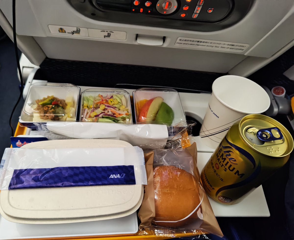 2026.2.8 NH813 HND→HKG B787-8 JA838A エコノミークラス機内食🍴 Bを