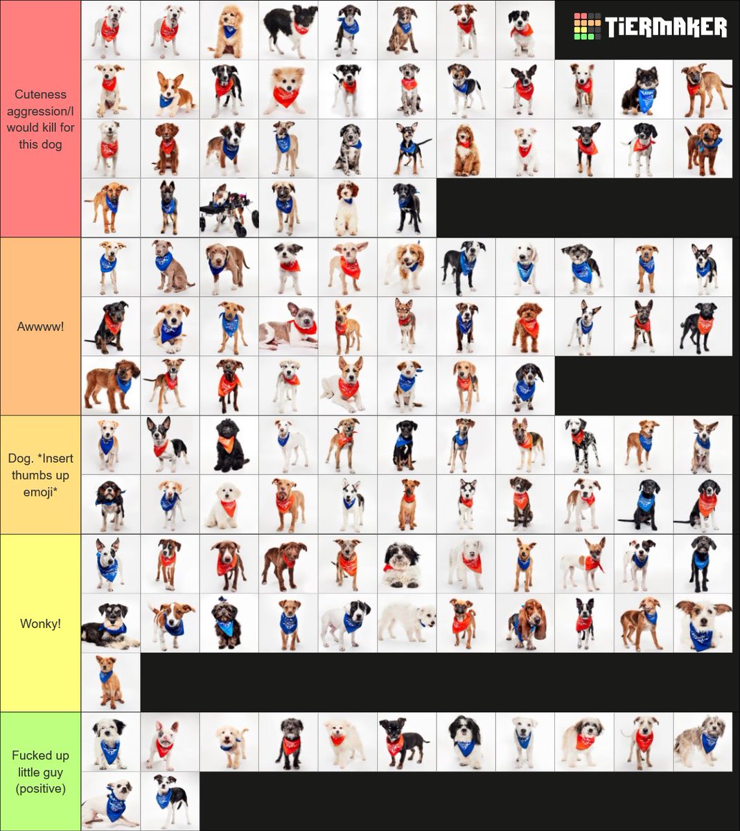 KasTweets's tweet photo. My final puppy bowl 2026 tierlist! https://t.co/GsnQv8ONpn