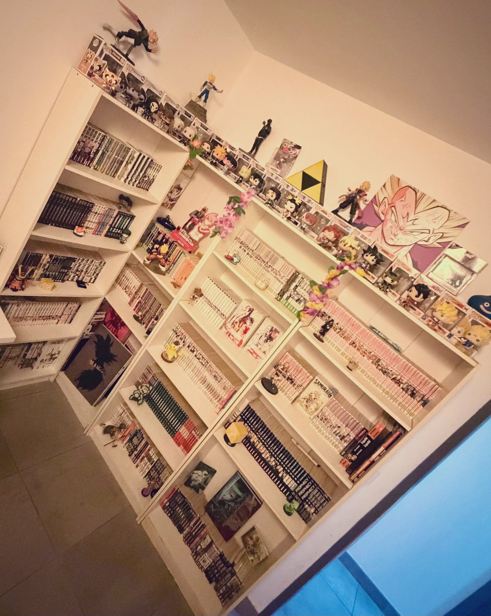 PtiMarshmallow's tweet photo. In progress’ 📚
#manga #mangatheque #collection https://t.co/YMietxa8IT