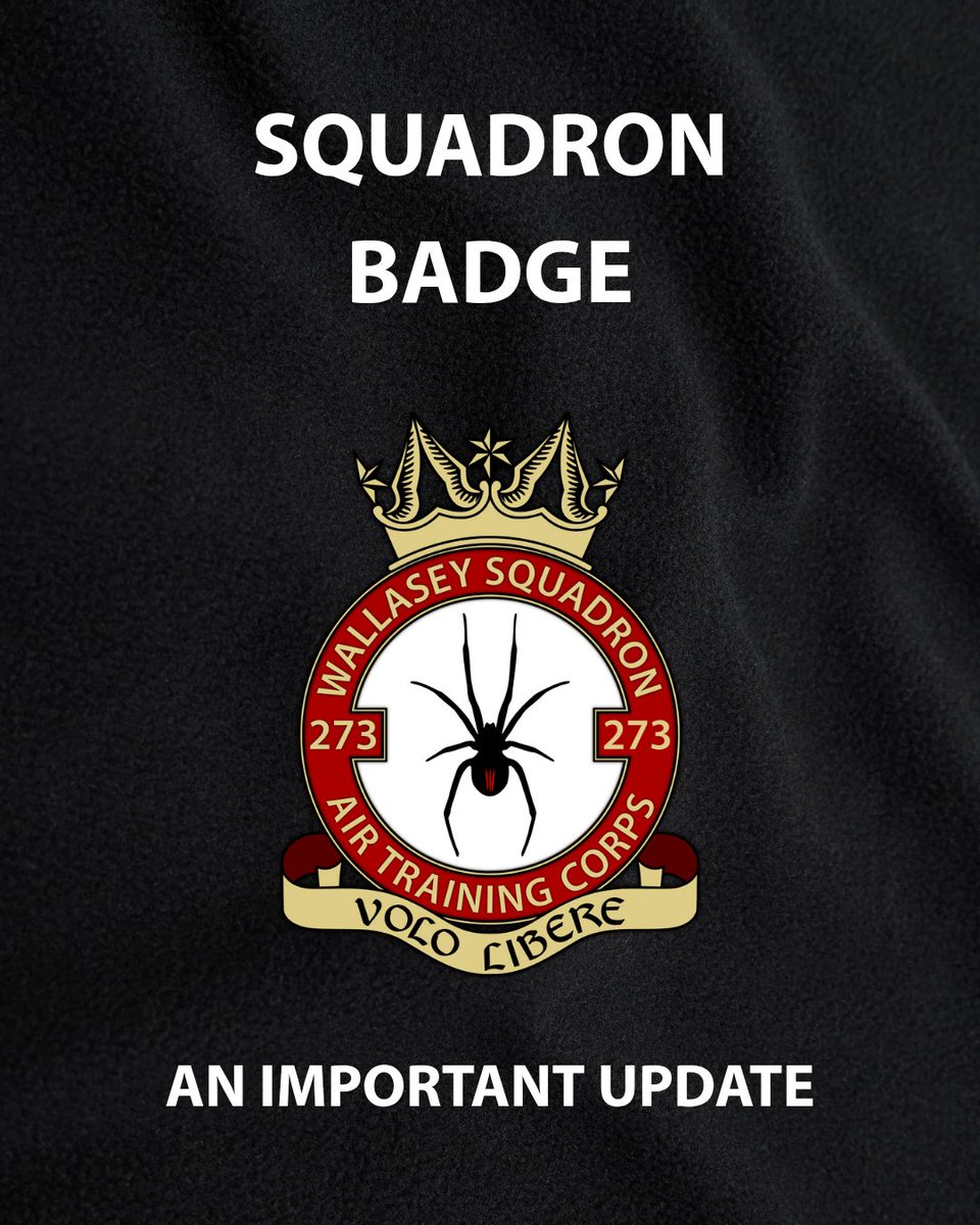 273 (Wallasey) Sqn tweet media