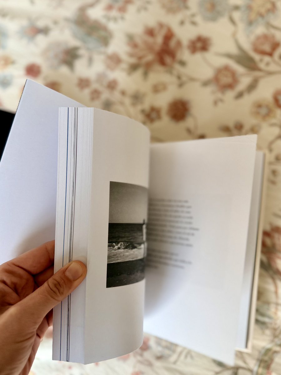 elvirasastre's tweet image. «En defensa de la memoria» llega este jueves 12/02 a librerías de España.
Estoy fragilita ❤️

Resto de fechas:
🇲🇽 MÉXICO - 17/02
🇦🇷 ARGENTINA - marzo (día por confirmar)
🇨🇴 COLOMBIA - marzo (día por confirmar)
🇵🇪 PERÚ - junio (día por confirmar)
🇺🇸 USA - junio (día por confirmar)