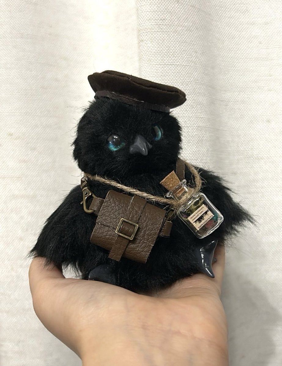 小さな妖精　１１㎝ ヤミノカラスちゃん生まれました🐦‍⬛🩶