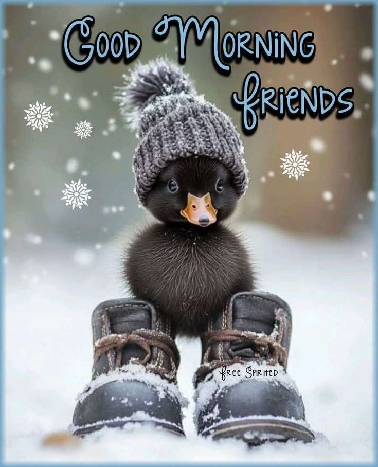 Good morning everyone friends 🥰❤️