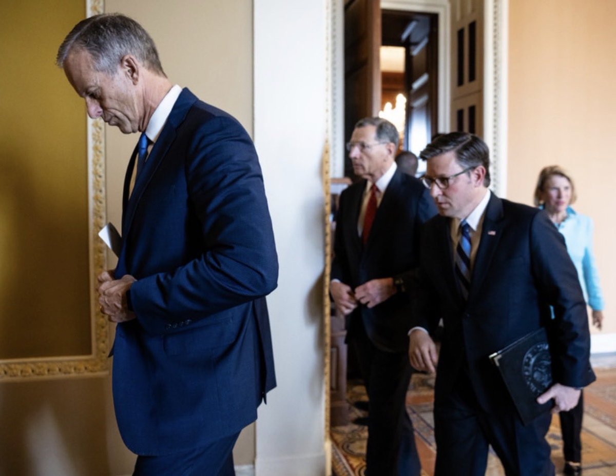 Raise your hand if you think Senate Majority Leader John Thune is a RINO Traitor