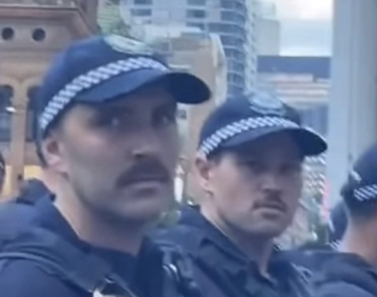 Chris Katelaris tweet media