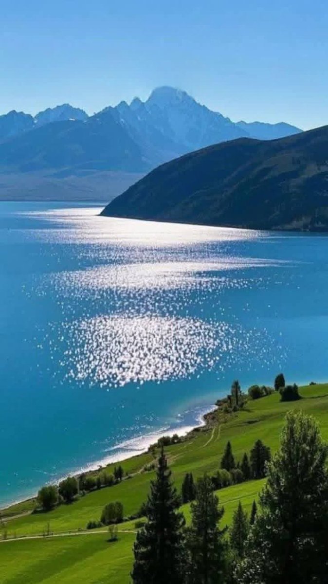 A (@snaiper2829) on Twitter photo 