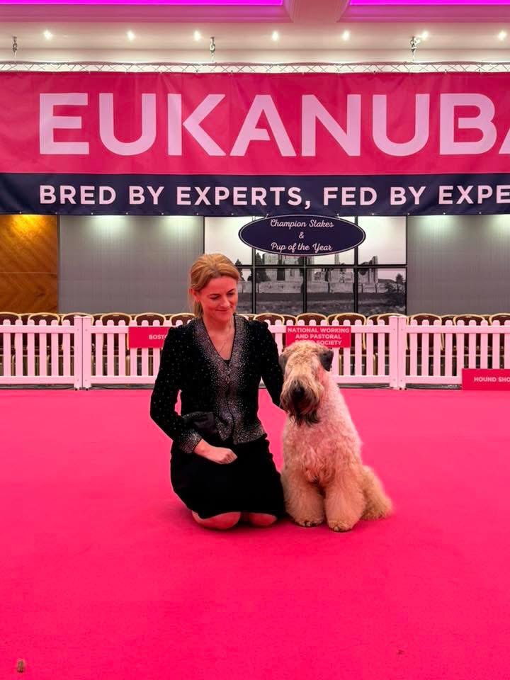 A fab day and evening at the Eukanuba finals with a wonderful crowd.  Huge congratulations to all the qualifiers and even bigger congratulations to the winners on the day.

Another wonderful event thanks to @Eukanubadogs Breeders Club 🙏