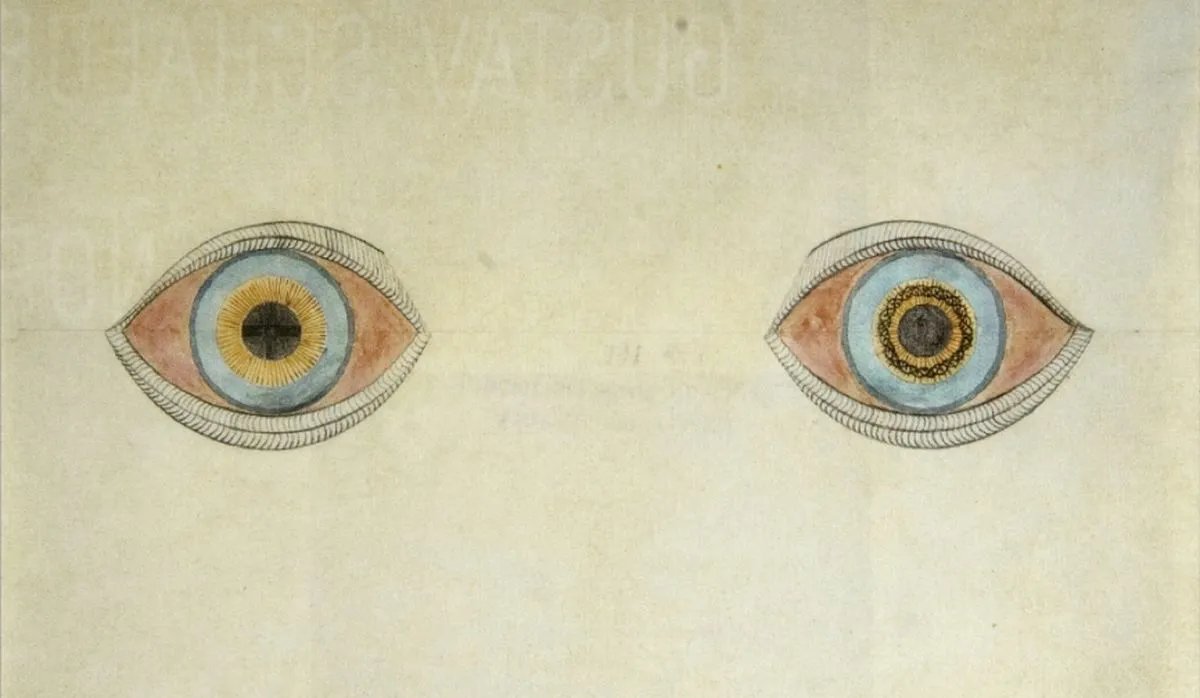 Treccani tweet media