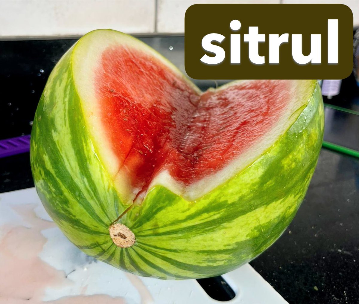 GPC Welsh dictionary tweet media