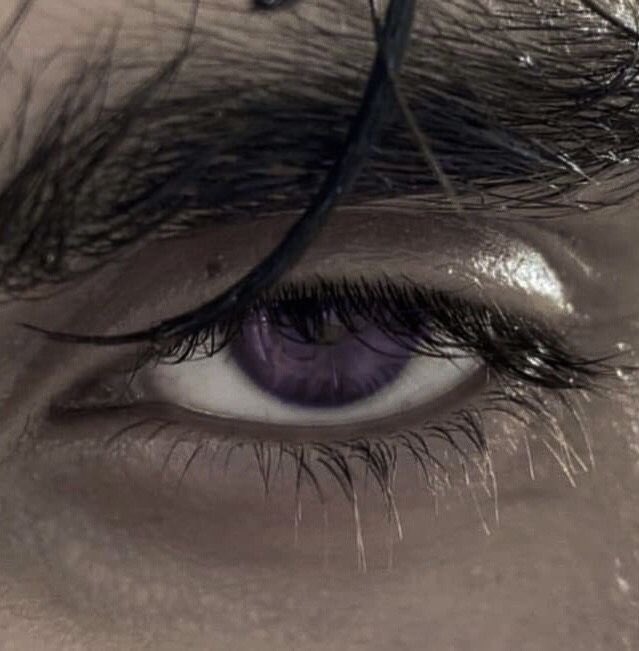 — . ‎ ‎ ‎ ‎ ‎ ‎ ‎ ‎ 𝐀 𝓦͟O𝐋𝐅𝐈𝐒𝐇 𝐌𝐈𝐍𝐃. 狼 tweet media