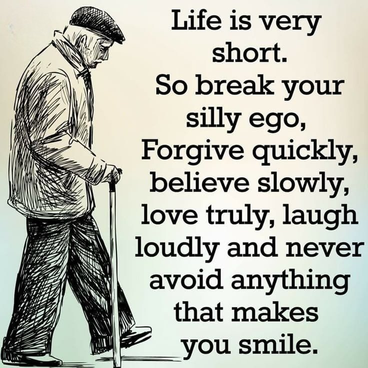 Seek Wiser (@seekwiser_) on Twitter photo 