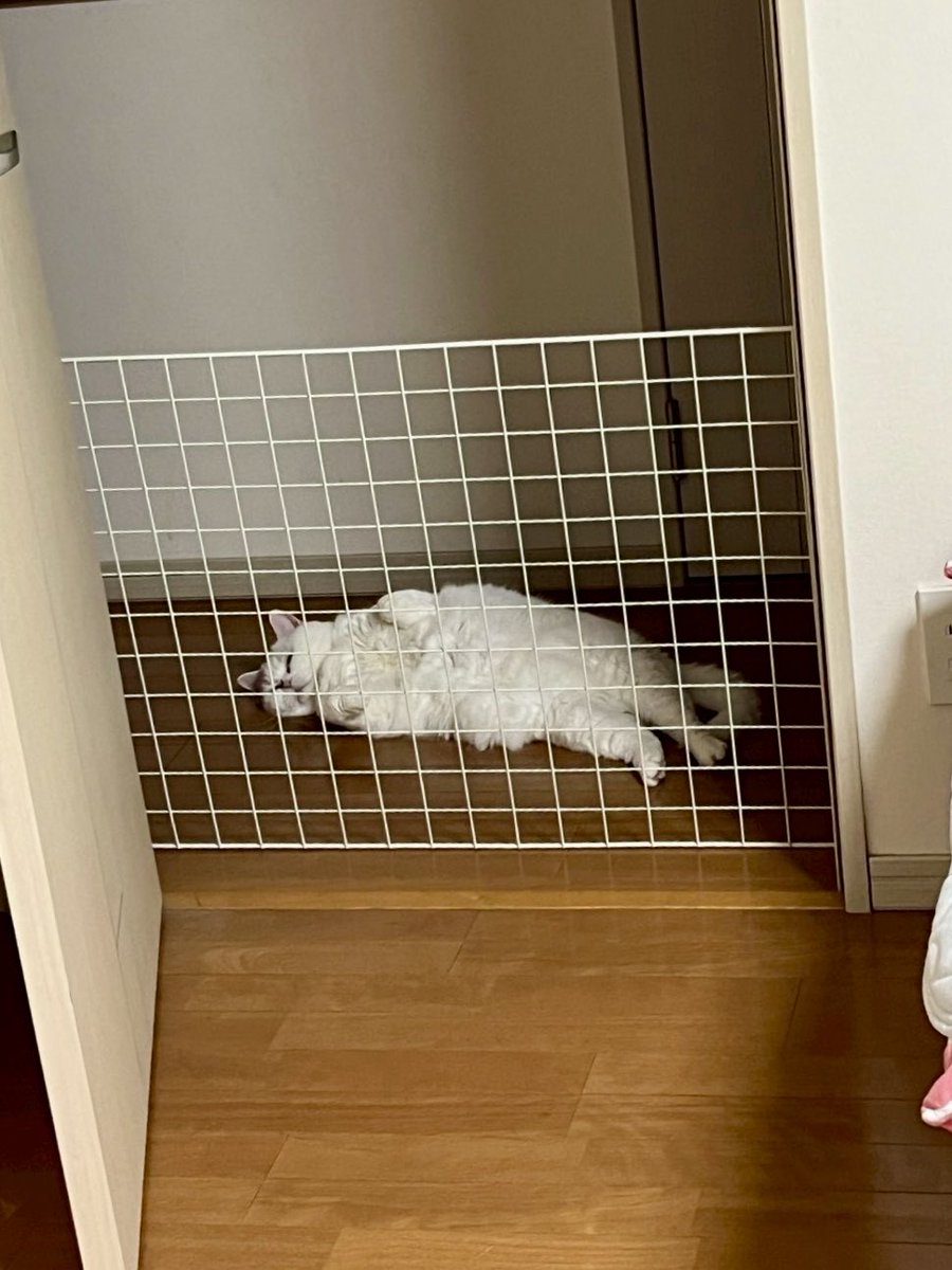 出禁の娘の部屋の前。
娘が部屋から「なんか気まずい」ってLINEくれました。