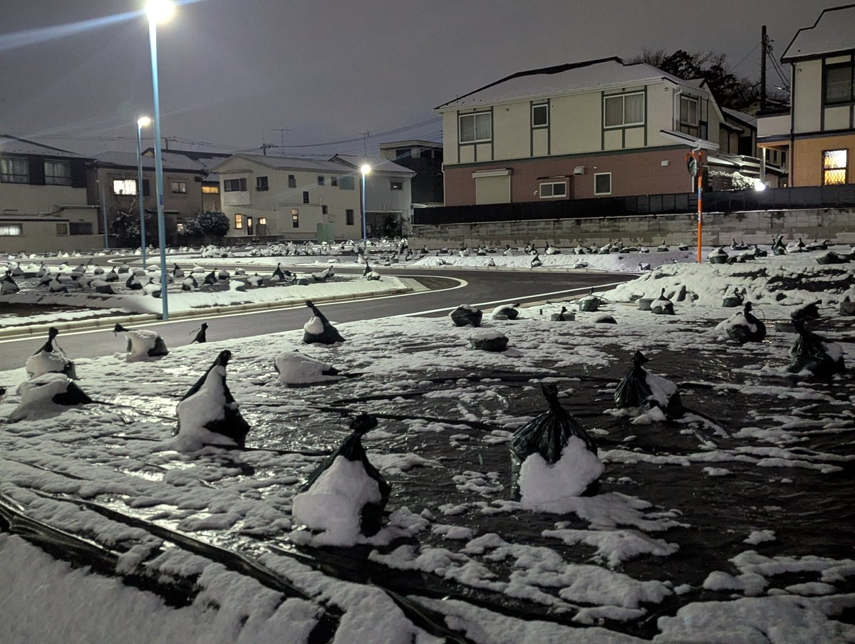 ペンギン・ハイウェイ